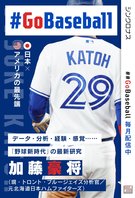 GoBaseball